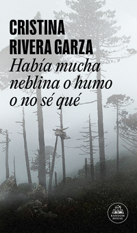 Había mucha neblina o humo o no sé qué