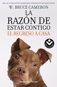 La razón de estar contigo 3 - El regreso a casa