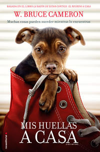 Mis huellas a casa